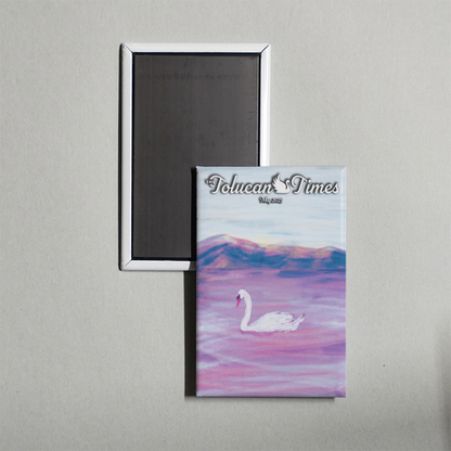 Tolucan Times Magnets
